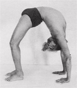 Interview with BKS Iyengar on Backbends | Iyengar Yoga Bondi Junction Bks Iyengar Quotes, Bks Iyengar Yoga, Yoga Backbend, Bks Iyengar, Yoga Poses Photography, Inner Mind, Worst Names, Iyengar Yoga, Standing Poses