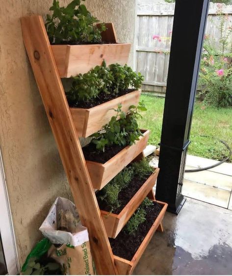 Vertical CEDAR Planter Box Ladder Many Sizes | Etsy Diy Planters Indoor, Ladder Planter, Garden Ladder, Herb Garden Pallet, Outdoor Herb Garden, Lots Of Plants, Cedar Planter Box, Diy Herb Garden, Cedar Planters