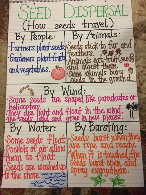 Seed Dispersal Anchor Chart Seed Science, Plants Science, Grade 3 Science, Fourth Grade Science, Science Anchor Charts, Second Grade Science, Seed Dispersal, Plants Unit, Classroom Charts