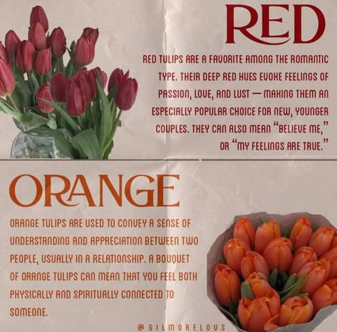 Red Tulip Meaning, Tulip Color Meaning, Tulips Meaning Language Of Flowers, Tulip Meaning, Flower Knowledge, Tulips Quotes, Candle Content, Flower Facts, Tulips Meaning