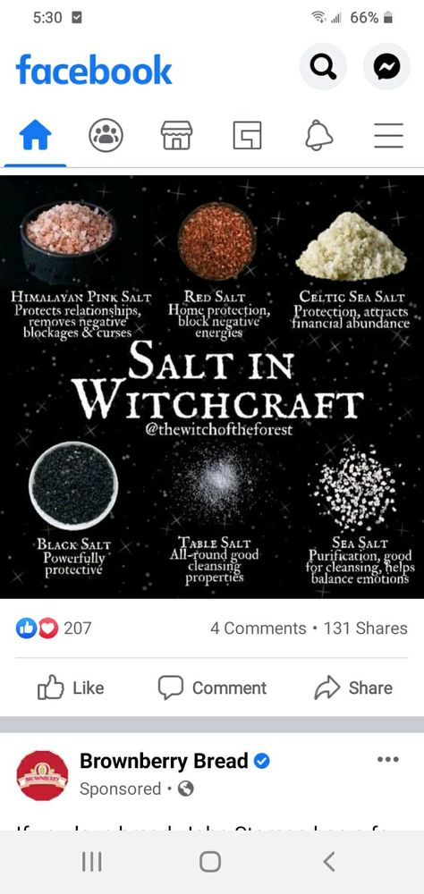 Grapefruit Uses, Herb Meanings, Witchcraft Meaning, Salt Cleanse, Celtic Sea Salt, New Moon Rituals, Candle Magick, Witchcraft Spell Books, Witch Spell Book