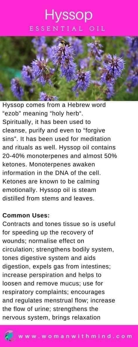 Hyssop Essential Oil, Helichrysum Essential Oil, Essential Oils 101, Essential Oils Guide, Essential Oils Herbs, Essential Oil Benefits, Healing Oils, Witchy Things, Oil Benefits