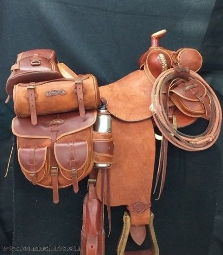 Saddle Bags Horse, Western Horse Saddles, Cowboy Pictures, Cowboy Gear, Saddle Accessories, Western Horse Tack, Horse Gear, Aluminum Bottle, Painted Pony