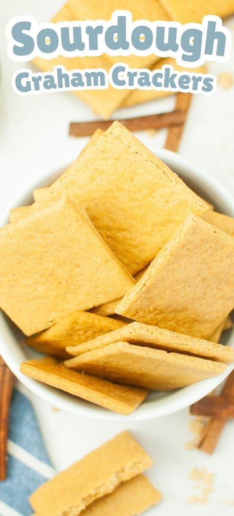 Dairy Free Sourdough Discard Recipes, Sourdough Discard Gravy, Sourdough Crackers Recipes, Sourdough Discard Recipes Crackers, Sourdough Starter Discard Crackers, Sourdough Discard Graham Crackers, Easy Sourdough Discard Crackers, Sourdough Graham Crackers, Discard Sourdough Recipes