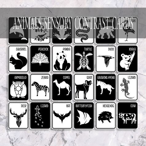 Newborn Activity, Cards For Newborn, Newborn Crafts, Sensory Cards, Newborn Development, Newborn Activities, Black And White Cards, Animal Learning, Mommy Things