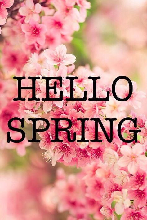 Hello Spring spring spring quotes spring pictures hello spring spring images Hairstyles Halloween, Frühling Wallpaper, Glitter Roots, Halloween Hairstyles, Seasons Months, Spring Quotes, Spring Images, Spring Pictures, Hairstyles For