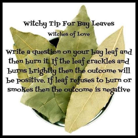 Bay Leaf questions Pagan Practices, Witch's House, Witch Things, Witch Crafts, Witches Broom, Witchy Tips, Witch Herbs, Spells For Beginners, Broom Closet