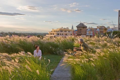 Green Roof Design, Future Cities, Urban Heat Island, Garden Figures, Floating Deck, Water Walls, Sky Garden, Rooftop Garden, Roof Garden