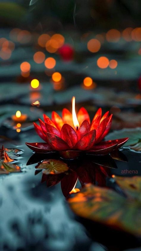 Iphone Wallpaper Candle, Bokeh Aesthetic, Deepavali Wishes, Budha Art, Diwali Wallpaper, Good Night Beautiful, Moonlight Photography, Relaxing Candles, Alone In The Dark