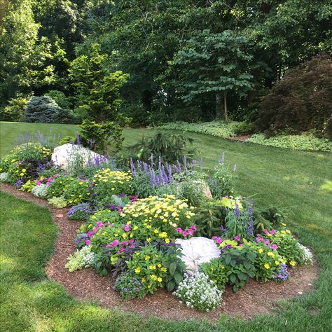 Rock Berm Landscaping, Small Walkway Landscaping, Coneflowers Landscaping, Berm Ideas Landscaping, Landscape Burms, Rock Garden Design, Aesthetic Garden, Front Yard Garden Design, Fall Garden Vegetables