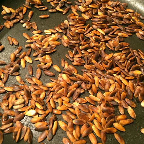 Roasted Cantaloupe Seeds Roasting Pumpkin Seeds, Cantaloupe Seeds, Roasting Pumpkin, Manwhich Recipes, Roasted Seeds, Szechuan Recipes, Mulberry Recipes, Cantaloupe Recipes, Spagetti Recipe