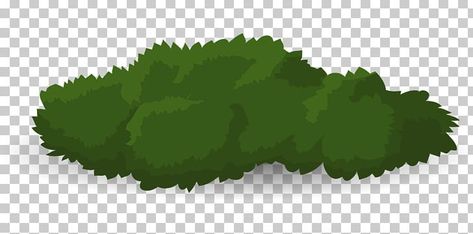 Shrubs Drawing, Bush Drawing, Green Grass Background, 3d Reference, Guys Fashion Casual, Cartoon Download, Grass Background, Guys Fashion, Drawing Png