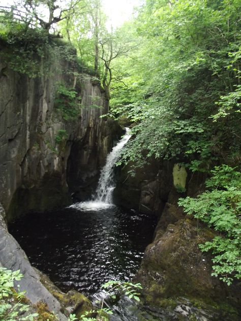 Hollybush Spout, Ingleton Falls Trail, Ingleton, North Yorkshire, UK. Yorkshire Uk, Water Fall, Water Falls, North Yorkshire, Yorkshire, Beautiful Places, United Kingdom, Water, Travel