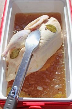 How To Brine Duck, Smoked Whole Duck, Brine For Duck, Duck Brine Recipes, Smoked Duck Recipes, Mabon Food, Duck Marinade, Wild Duck Recipes, Whole Duck Recipes