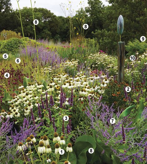 Matrix Planting, Pollinator Garden Design, Planting Design, Native Plant Gardening, Front Yard Garden Design, Planting Plan, Fine Gardening, Garden Show, Native Garden