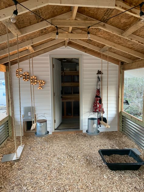 Shed Hen House, Chicken Coop Stalls, Diy Indoor Chicken Coop, Chicken Coop Set Up Inside, Inside Chicken Coop Decorating Ideas, Pretty Chicken Coop Ideas, Chicken Coop Shed Ideas, Boujee Chicken Coop, Chicken Shelter Ideas