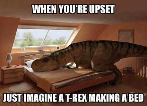 T-Rex changing sheets Humour Geek, Space Ghost, Totally Me, A Dinosaur, Have A Laugh, E Card, Laughing So Hard, How To Make Bed, Tgif