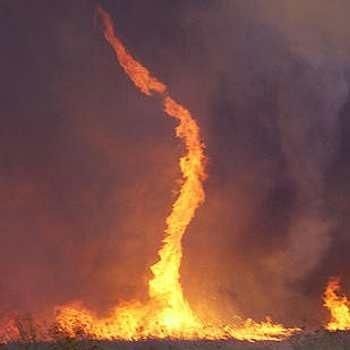 Fire Whirl, Fire Tornado, Weather Art, Wild Weather, Forest Fire, Natural Phenomena, Extreme Weather, Natural Disasters, Science And Nature