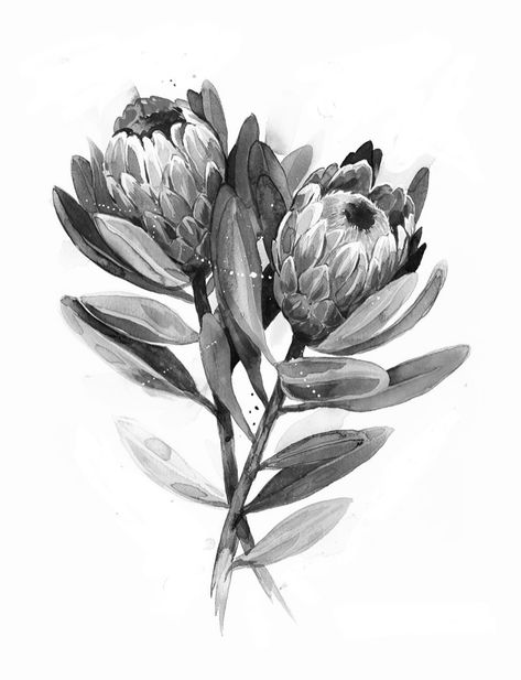 Protea Tattoo Black And White, Fine Line Protea Tattoo, Protea Flower Drawing, Protea Flower Tattoo, Protea Drawing, Protea Tattoo, Protea Wallpaper, Pencil Drawings Of Flowers, Protea Flower