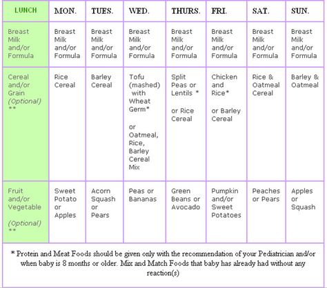 The menus for baby food below are designed to give you an idea of what babies may be eating from 4 months to 8 months of age. Feeding Schedule For Baby, Baby Meal Plan, Baby Food Schedule, 8 Month Baby, 7 Month Old Baby, Baby Food Chart, Baby Routine, Baby Feeding Schedule, Baby Schedule