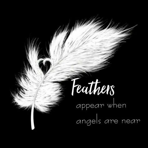 Feathers appear when angels are near. #feathers #feather #appear #appearance #near #close #closeup #closeby #nearby #angels #angel #hope #hopes #faith #love #life #live #livelife #lovelife November Quotes, Angel Quotes, Angel Feathers, I Believe In Angels, Archangel Gabriel, Angels Among Us, Feather Tattoos, Archangel Michael, Guardian Angels