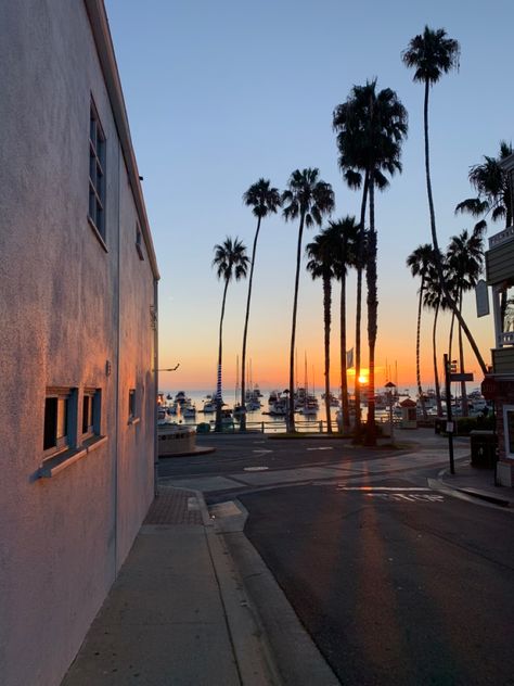 Sunrise California, California Sunrise, Avalon California, The Oc, S Pic, West Coast, Palm Trees, Summer Vibes, California