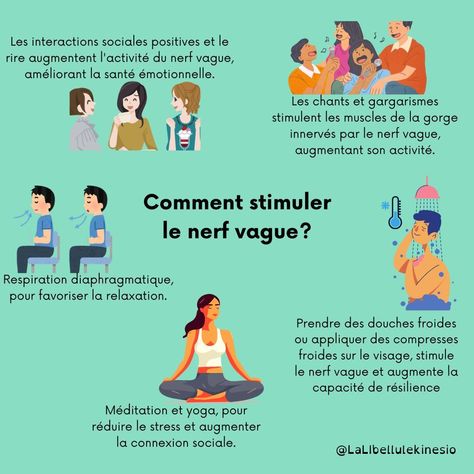 🌿 Découvrez le Pouvoir du Nerf Vague pour Votre Bien-Être ! 🌿 Saviez vous que le nerf vague, le plus long nerf crânien, joue un rôle crucial dans votre bien-être physique et émotionnel ? 🌱 Qu'est-ce que le nerf vague ? Le nerf vague, aussi appelé nerf pneumogastrique, influence de nombreuses fonctions vitales, de la régulation de la fréquence cardiaque à la gestion de la digestion et du stress. Il a deux branches principales : ➡️ Ventrale : Associée à la sécurité, la relaxation et les inte... Nerf Vague, Muscles, Relaxation