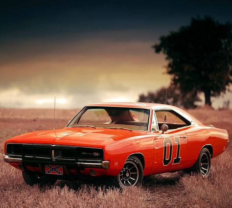 General Lee Car, General Lee, Cars Classic, Mercedes Benz 300, Mustang Cars, Dodge Trucks, Cars Movie, Us Cars, Dodge Durango