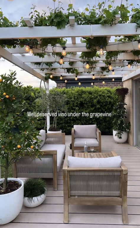 Pergola Ideas Australia, Luxury Front Yard Entrance, Outdoor Arbour Ideas, Outdoor Undercover Entertaining Area, Pagola Ideas Backyards, East Coast Backyard, Arbours Garden Pergolas, Back Verandah Ideas, Front Pergola Porch