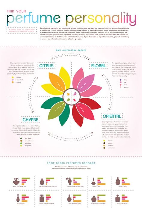 Find your perfume personality with www.scentbird.com and our FREE samples program. #fragrance, #perfume Fragrance Infographic, Perfume Infographic, Perfume Science, Perfume Personality, Fragrance 101, Perfume Presentation, Fragrance Families, Perfume Quotes, Essential Oil Perfumes Recipes