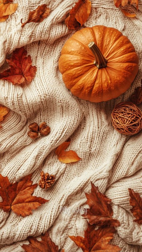 Introducing the Autumn Cozy collection, a set of FREE phone wallpapers that brings all the warm, comforting vibes of fall to your screen. Featuring cozy sweaters, pumpkins, and autumn leaves, this collection is perfect for keeping fall inspiration with you on the go. Download free @ lillyashleydesign.com! Click through the pin for the direct link. Follow on Pinterest for EXCLUSIVE access to upcoming collections! Check out ALL of our free collections on our website lillyashleydesign.com! Sweater Wallpaper, Fall Plaid Wallpaper, Cozy Fall Wallpaper Iphone, Cozy Background, Free Phones, Plaid Wallpaper, Free Phone Wallpaper, Iphone Wallpaper Fall, Fall Plaid