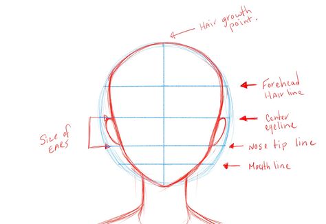 Proper proportions Anime Face Drawing, How To Draw Anime, Face Template, Anime Face, Anime Head, Drawing Heads, Drawing Cartoon Characters, Drawing Faces, Draw Anime