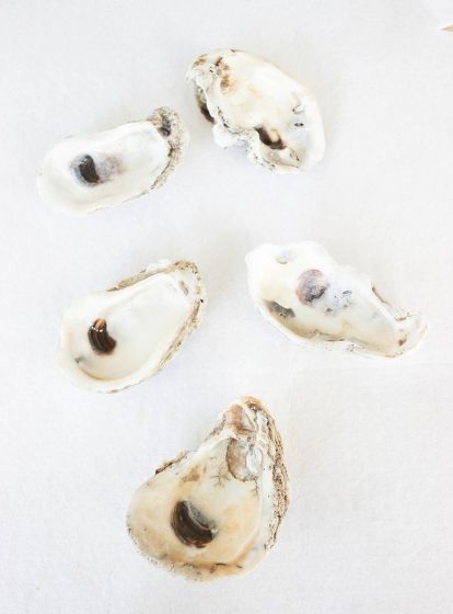 I am obsessed with oyster shells. I love creating lots of different projects with them. I hand painted oyster shells in gold to create little accents for your table. There are many ways to paint them. You can paint the white section in gold and used those as a pretty decorative coastal accents on top of a place setting. Or you can just paint the edges and use them as holders for salt & pepper. Enjoy this DIY Hand Painted Oyster Shell. Step 1: Clean the Oysters. Clean the oysters wit… Paint Oyster Shells, Painted Oyster Shells, Salt And Pepper Holder, Dark Wood Table, Pinterest Challenge, Mirror Frame Diy, Decoupage Ideas, Antique Sideboard, Wax Painting