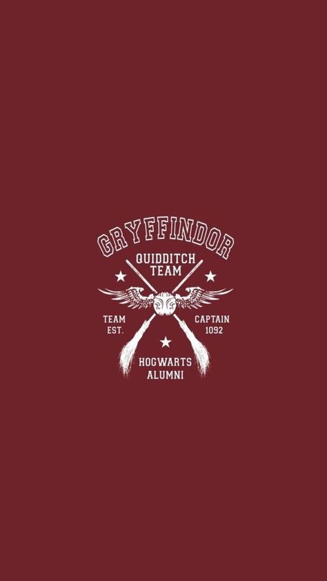 Gryffindor Logo Aesthetic, Quidditch Aesthetic Wallpaper, Eastatic Wallpaper Iphone, Hogwarts Quidditch Aesthetic, Gryffindor Aesthetic Wallpaper Iphone, Gryffindor Wallpaper Iphone, Gryffindor Wallpaper Aesthetic, Quidditch Wallpaper, Gryffindor Aesthetic Wallpaper