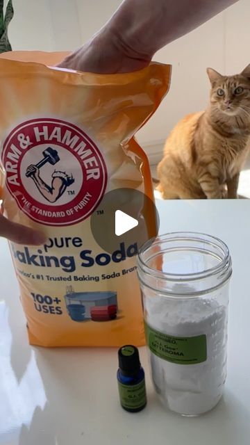 Feminist Kitty on Instagram: "DIY litter box deodorizer recipe ⬇️  Baking soda Jar with a lid Cat safe essential oil blend (I used the brand AnimalEO created by a veterinarian)   Add a few drops of EOs to the baking soda mix and add in your litter robot waste drawer, litter genie, or trash bag to help absorb odors. Do not add directly in your litter box, cats don’t like scented products and it’s unnecessary.#litterbox #litterboxtips #litterrobot #litterboxhack #cattips" Litter Smell Hacks, Diy Litter Genie, Cat Litter Deodorizer Diy, Litter Box Smell Hacks, Litterbox Ideas, Cat Litter Box Diy, Cat Litter Smell, Cat Liter, Litter Genie