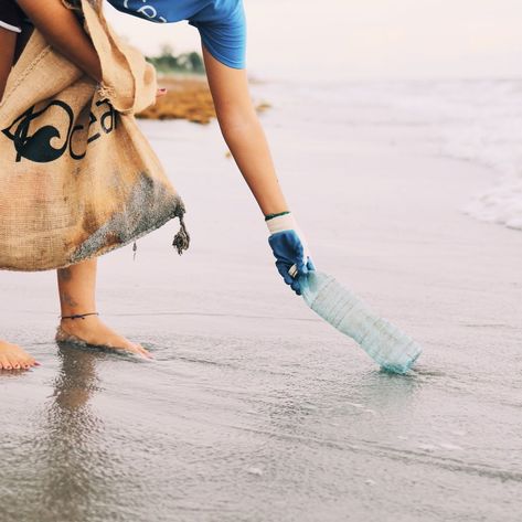 Coastal Clean Up, Ocean Clean Up, Vision Board Assignment, Beach Cleaning, Reduce Plastic Use, Beach Cleanup, Beach Clean Up, Conservation Biology, Animal Rescue Center