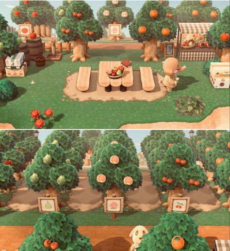 Fruit Farm Animal Crossing, Orchard Path Animal Crossing, Animal Crossing Tree Farm Ideas, Farm In Animal Crossing, Acnh Tree Farm Ideas, Animal Crossing Dirt Code, Acnh Orchard Path Code, Animal Crossing Island Inspiration Shops, Farms Animal Crossing