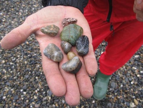 Beach Agates, Alaska Beautiful, Rockhounding California, Alaska Beach, Beach Road Trip, Moonstone Beach, Rock Tumbling, Kenai Peninsula, Mendocino Coast