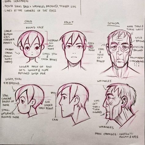 Miyuli Art Tips, Drawing Cheekbones, How To Draw Age, How To Draw Cheekbones, Cheekbone Drawing, Drawing Different Ages, How To Draw Different Ages, Cheekbones Drawing, Art Advice