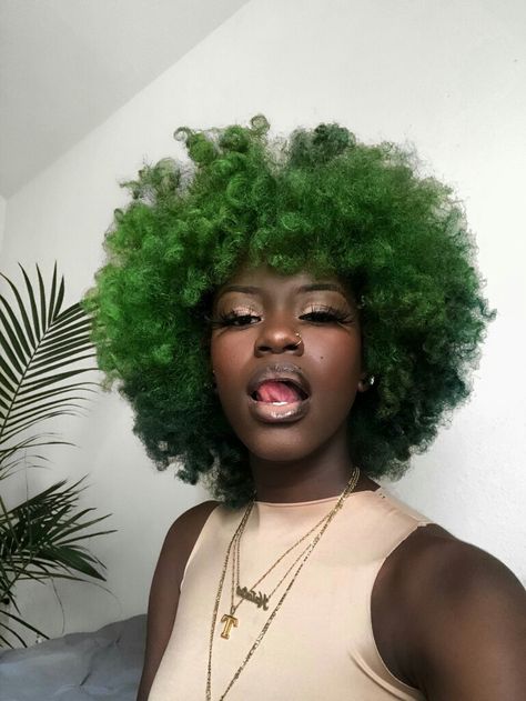 Multi Colored Afro Natural Hair, Short Afro Hairstyles 4c Hair Dyed, Natural Colour Hair Dye Ideas, Afro Colored Hair, Afro Dyed Hair, Short Curly Hair Dyed, Dyed Afro Hair 4c, Green Natural Hair, Dyed Afro