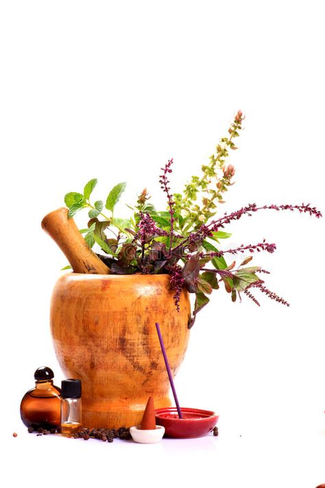 Medicine Knowledge, Plants Types, Ayurvedic Plants, Medical Plants, Ayurvedic Tips, Pitta Kapha, Ayurvedic Hair Oil, Plant App, Ayurvedic Therapy