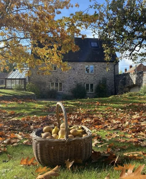 Apple Picking Fall, Fall Autumn Aesthetic, Cotswolds Cottage, Fall Cottage, Harvest Farm, Lily Garden, Cottage Aesthetic, Irish Roots, New England Fall