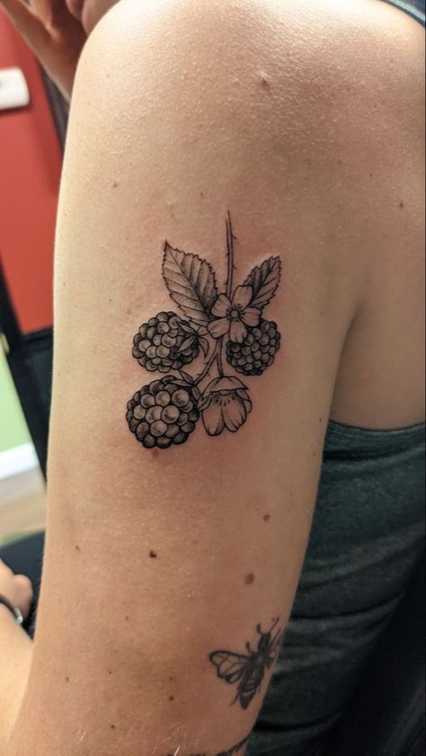 Blackberry Thorns Tattoo, Realistic Blackberry Tattoo, American Traditional Blackberry Tattoo, Nature Tattoos Aesthetic, Blackberry Plant Tattoo, Nature Theme Sleeve Tattoo Women, Wild Raspberry Tattoo, Realistic Plant Tattoo, Unique Plant Tattoo