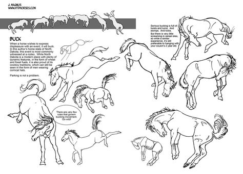 Horse Bucking Drawing, Bucking Horse Drawing, Horse Bucking, Draw Horse, Horse Poses, Drawing Horses, 3d Horse, Bucking Horse, Horse Sketch