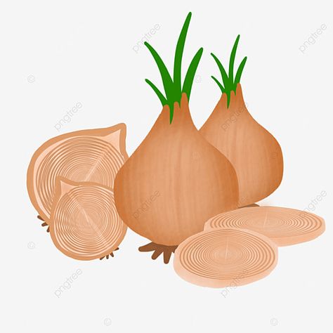 Onion Clipart, Onion Garden, Bawang Bombay, Burlap Background, Background For Photography, Png Clipart, Free Png, Png Image, Prints For Sale