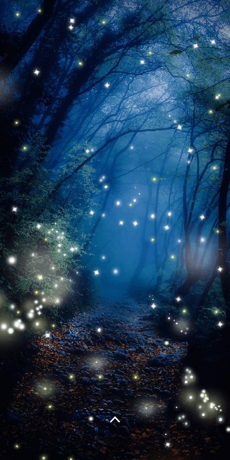 Firefly Photography, Rain And Coffee, Enchanted Forest Theme, Firefly Art, Magic Video, Sun Aesthetic, Forest Background, Night Forest, Magic Forest