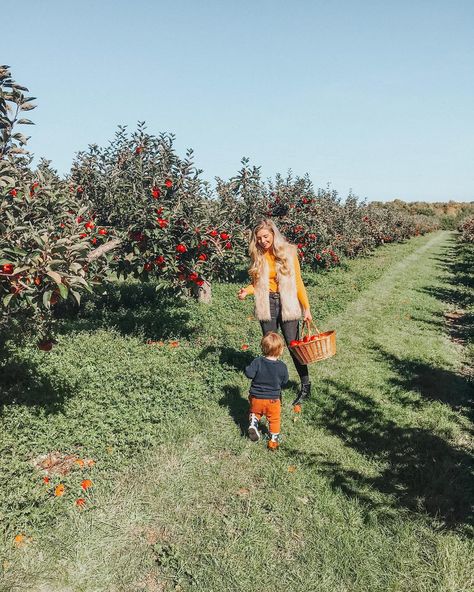 Kate Murnane on Instagram: “Of all the mornings I’ve had with you so far, this was one of my favourites. We visited the apple orchards at Castle Farm and they were…” Kate Murnane, Apple Orchards, Apple Orchard, Autumn Scenery, Fall Favorites, Autumn Aesthetic, Autumn Photography, Dream Destinations, Cozy Fall