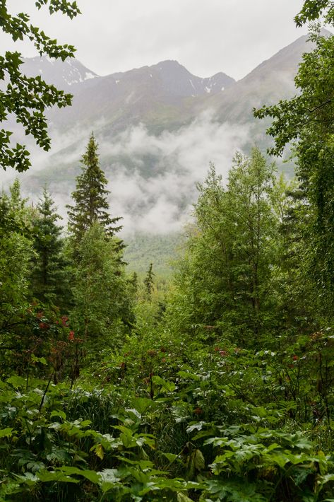 Chugach Mountains, Eagle River Alaska, Nature Scenery, Nature Center, The Eagle, Best Funny Pictures, Good Morning Images, Morning Images, Mountain View