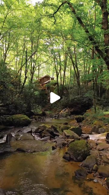 On And Off The Grid Cabins on Instagram: "Unplug and recharge..🌳💚🍃😌

🎥: @dirtandglass 
🏡: @squirrel.creek.cabin 
📍: North Carolina 🇺🇸 
.
.
.
#creekside #logcabin #blueridgemountains #northcarolina #petfriendly #getaway #airbnb #vrbo #grandfathermountain #linvillegorge #cabin #cabins #cabinstyle #cabinlovers #cabinlife #cabinlifestyle #logcabins #logcabinliving #outdoors #nature #naturelovers #naturelover 

Follow @off_the.grid.cabins for more content!" Log Cabin Living, Grandfather Mountain, Air B And B, Cabin Style, Cabin Life, Blue Ridge Mountains, Off The Grid, Log Cabin, Nature Lover