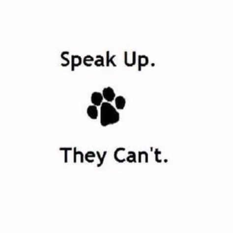 Rescue Quotes, Dogs Tattoo, Tattoo Animal, Truth Ideas, Vet Med, Stop Animal Cruelty, New Tattoo, Save Animals, Animal Rights